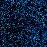 Poche à bec PyroDino - Algues bioluminescentes