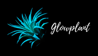 Glow Plant Inc.