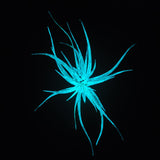 T. Abdita Glow Plante - Bleu