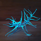 T. Albida Glow Plante - Bleu