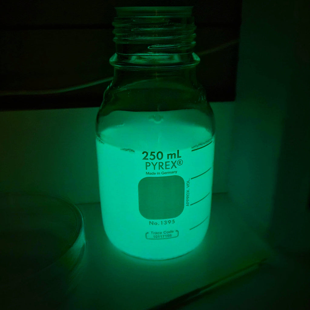 Bactries bioluminescentes - Culture en bouillon microbien Glow Plant Inc. Bactries bioluminescentes - Culture en bouillon microbien Glow Plant Inc.