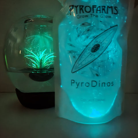 PyroPlanter - 생물 발광 조류